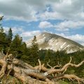 ılgaz flora, ılgaz fauna, ılgaz atmosfer, ılgaz yetişen bitkiler, ılgaz yetişen meyveler, ılgaz tarım, ılgaz ziraat, ılgaz çiftçi, ılgaz akbak otel