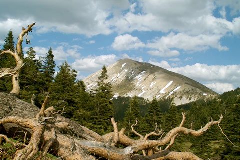 ılgaz flora, ılgaz fauna, ılgaz atmosfer, ılgaz yetişen bitkiler, ılgaz yetişen meyveler, ılgaz tarım, ılgaz ziraat, ılgaz çiftçi, ılgaz akbak otel