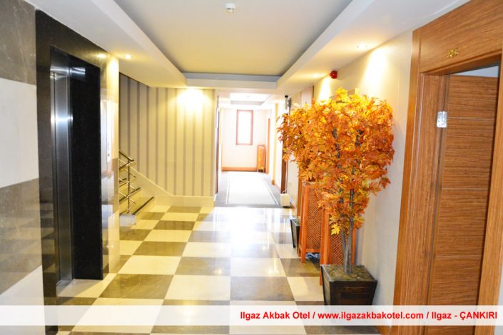 ılgaz akbak otel, ılgaz otelleri, ılgaz akbak otel fotoğraf galerisi