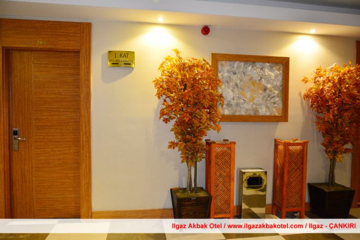 ılgaz akbak otel, ılgaz otelleri, ılgaz akbak otel fotoğraf galerisi