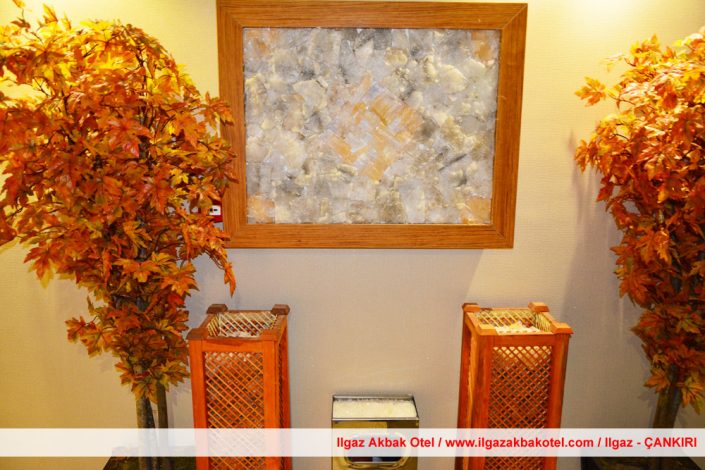 ılgaz akbak otel, ılgaz otelleri, ılgaz akbak otel fotoğraf galerisi