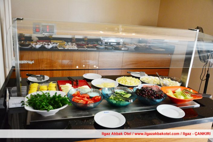 ılgaz akbak otel, ılgaz otelleri, ılgaz akbak otel fotoğraf galerisi