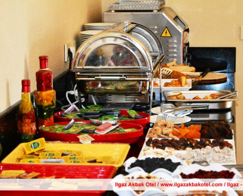 ılgaz akbak otel, ılgaz otelleri, ılgaz akbak otel fotoğraf galerisi