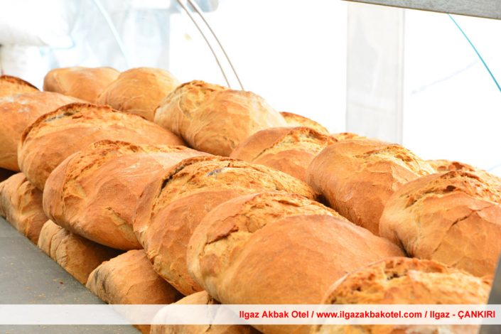 ılgaz akbak otel, ılgaz otelleri, ılgaz akbak otel fotoğraf galerisi